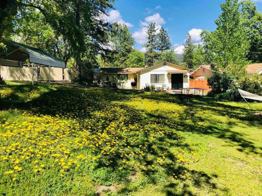Sierra Sunset Cottage -Yosemite Area Vacation Cottage Ahwahnee Esterno foto