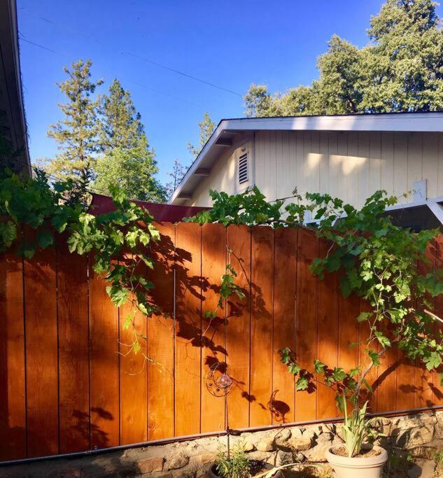 Sierra Sunset Cottage -Yosemite Area Vacation Cottage Ahwahnee Esterno foto